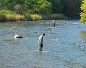 Eoin Fairgrieve fishing expert
