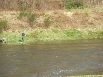 River Tweed catch