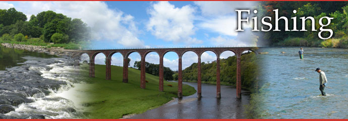 Fishing Scottish Borders