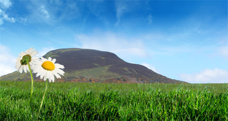 Borders Organic Growers