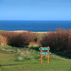 Eyemouth Golf Club