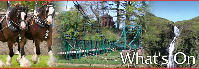 What's on in the Scottish Borders